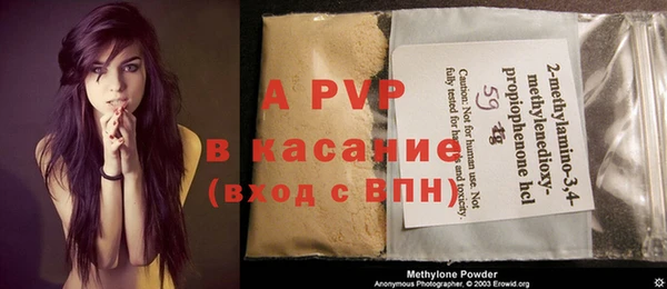 ПСИЛОЦИБИНОВЫЕ ГРИБЫ Белокуриха