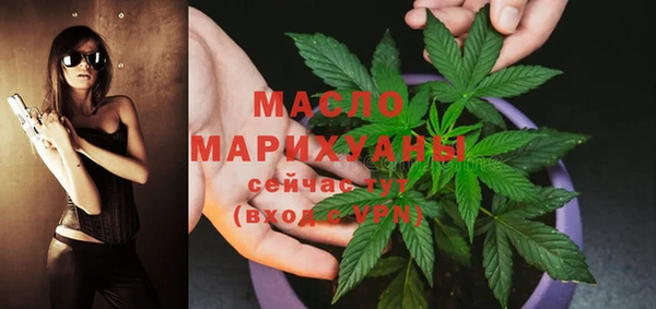 сатива Беломорск