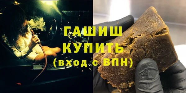 сатива Беломорск