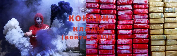 ПСИЛОЦИБИНОВЫЕ ГРИБЫ Белокуриха