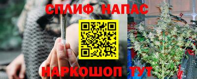 крисы Аргун