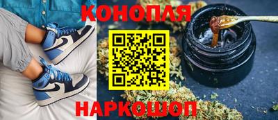 крисы Аргун