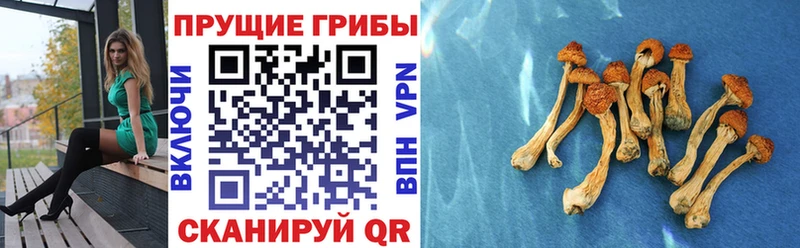 Псилоцибиновые грибы MAGIC MUSHROOMS  Бугульма 