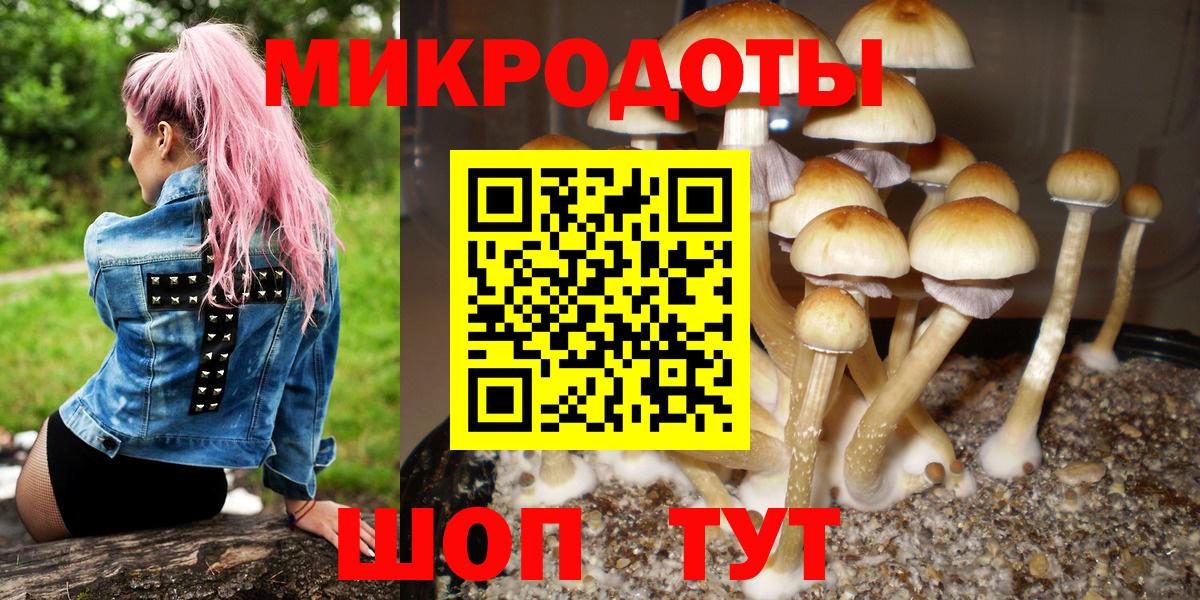 Псилоцибиновые грибы Psilocybine cubensis Бугульма